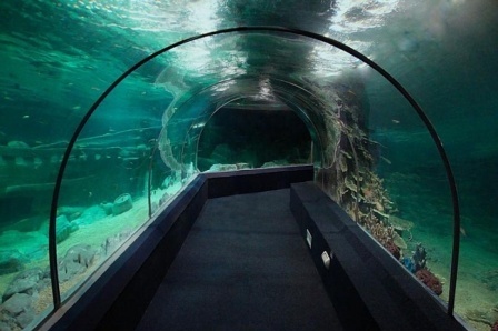 Океанариум «Сочи» в Адлере Sochi Discovery World Aquarium в Краснодарском крае