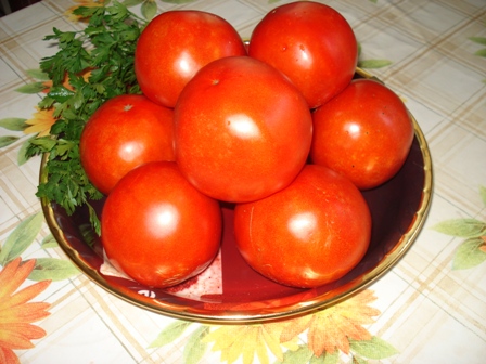 ,  (Solanum lycopersicum) 